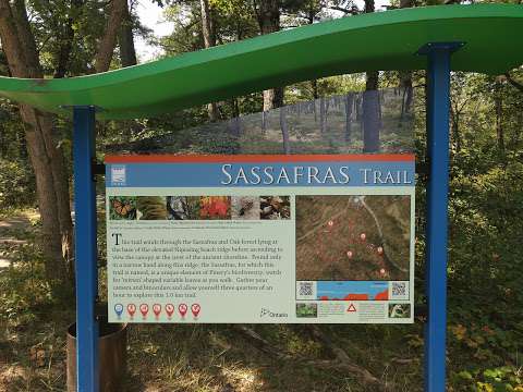 Sassafras Trail