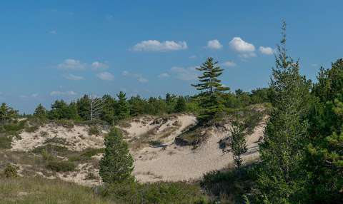Burley Beach Burley Beach